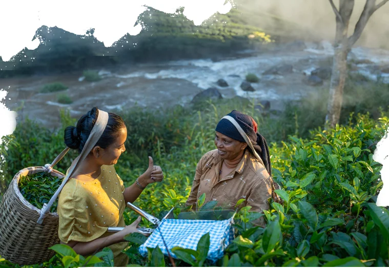  Munnar