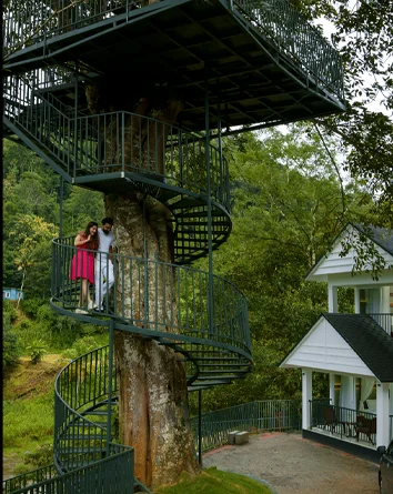  Munnar