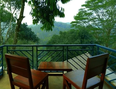Forest Canopy Resort India