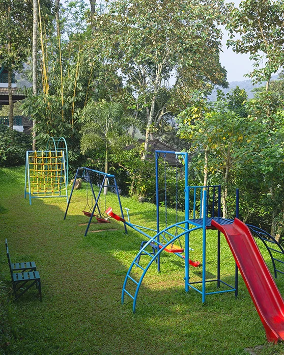 Forest Canopy Resort