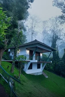 Forest Canopy Resort