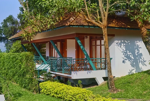 Forest Canopy Resort