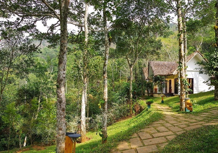 Niraamaya Retreats Cardamom Club, Thekkady