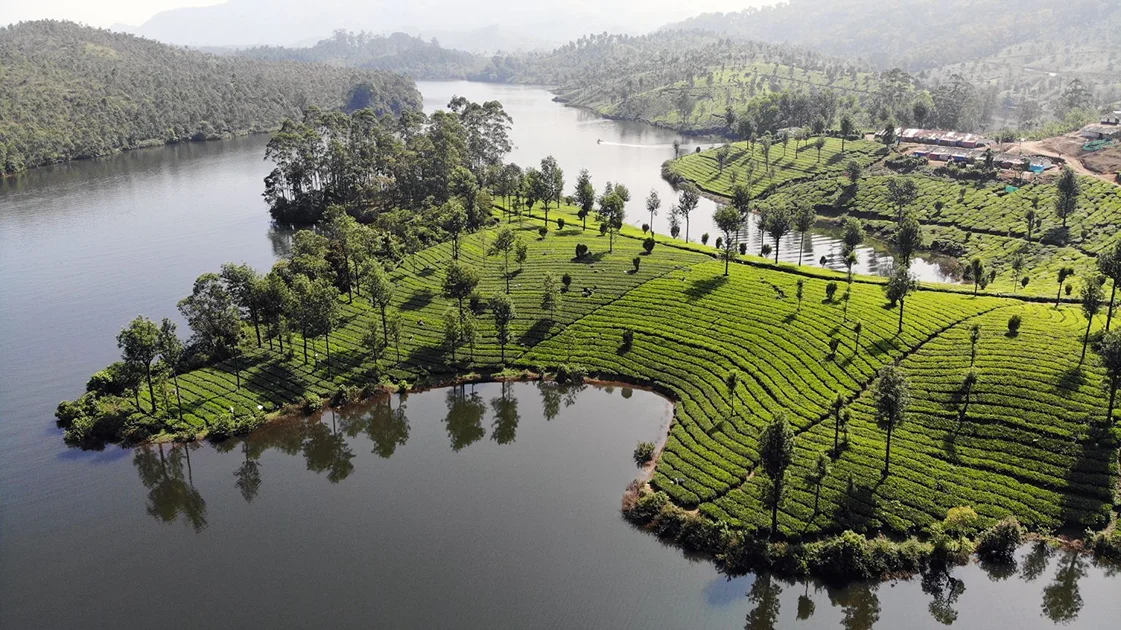 SpiceTree Munnar 