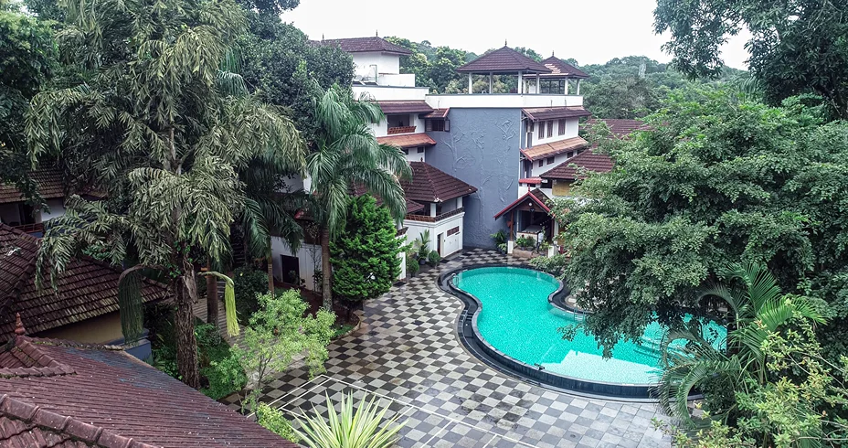 The Elephant Court 