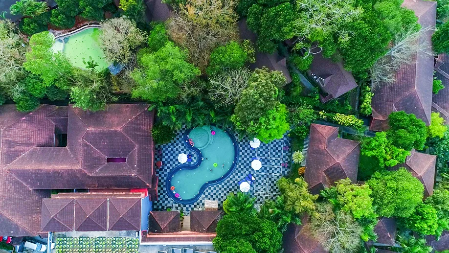 The Elephant Court India
