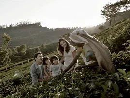  India