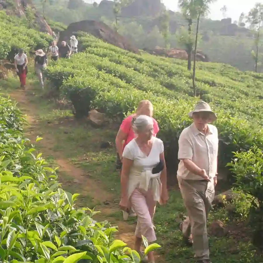 Windermere Estate India