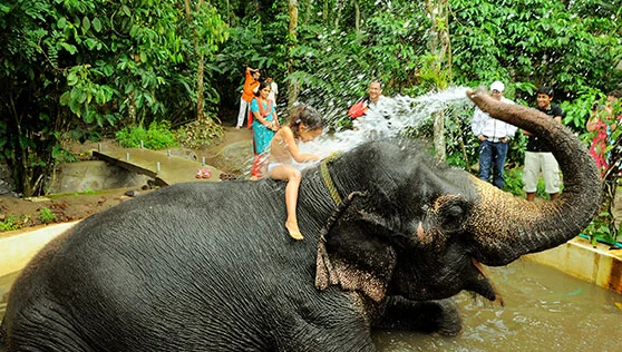 Xandari Resort Thekkady