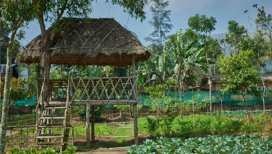  Thekkady