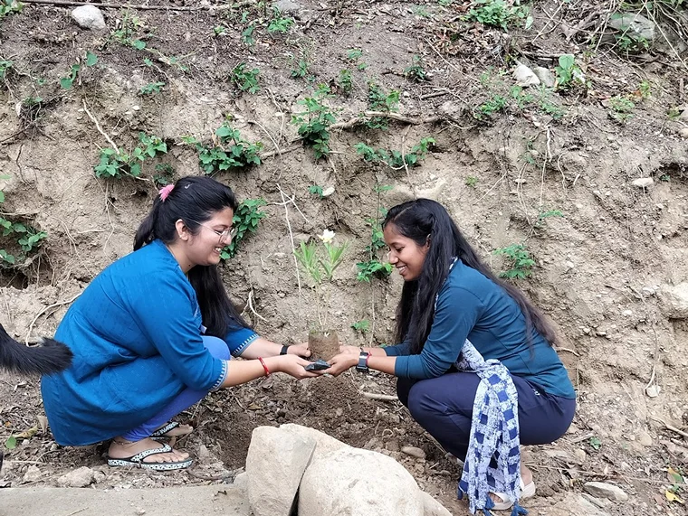 Dev Bhoomi Farms & Cottages Dharamshala