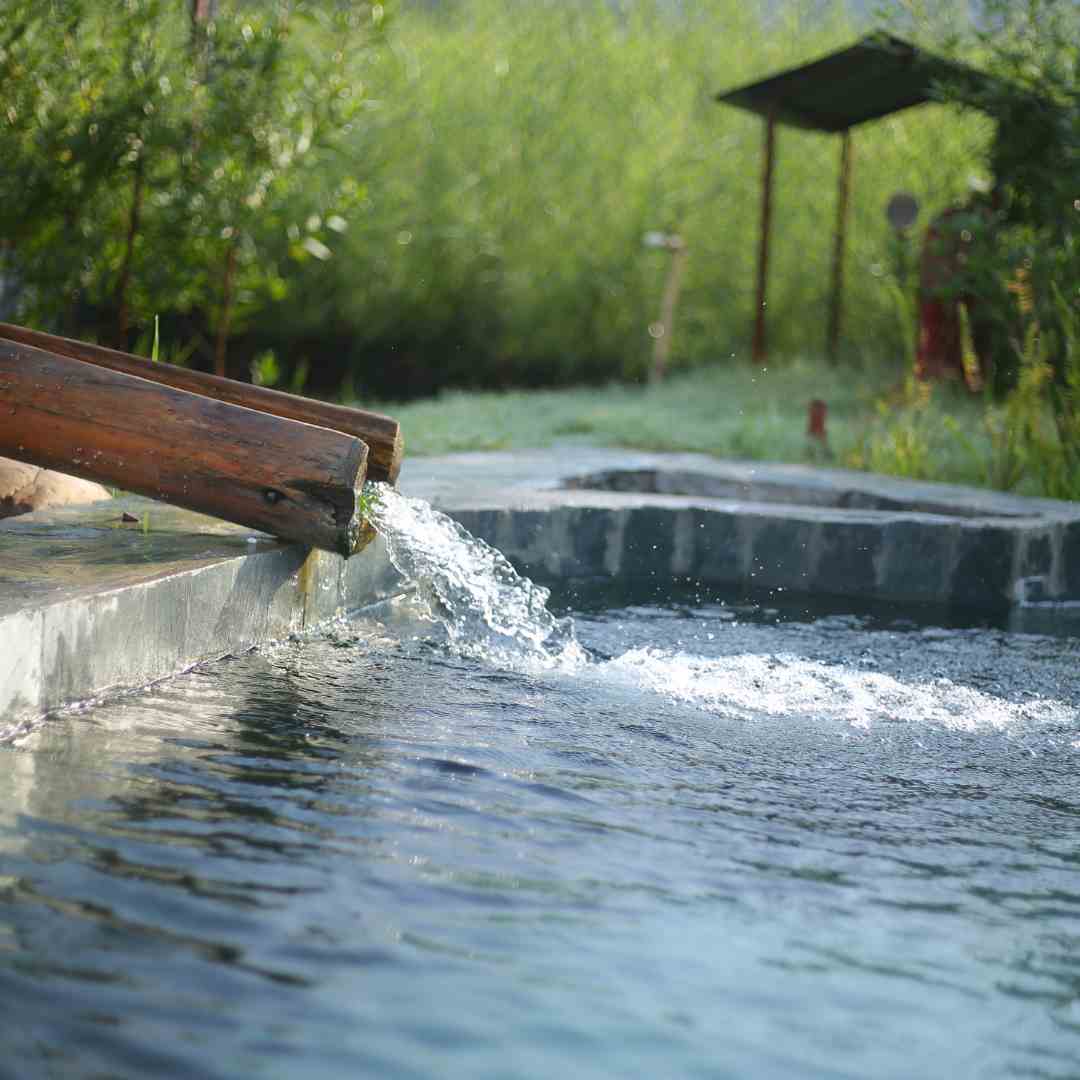 Osho Himalayas Wellness Resort Dharamshala