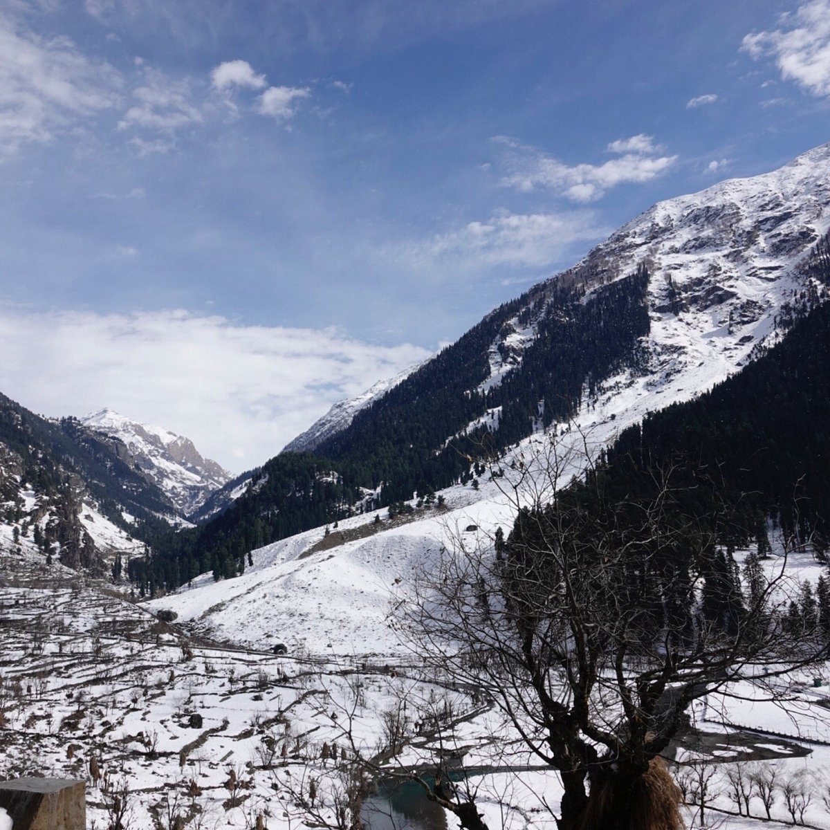 The Chinar Resort & Spa 