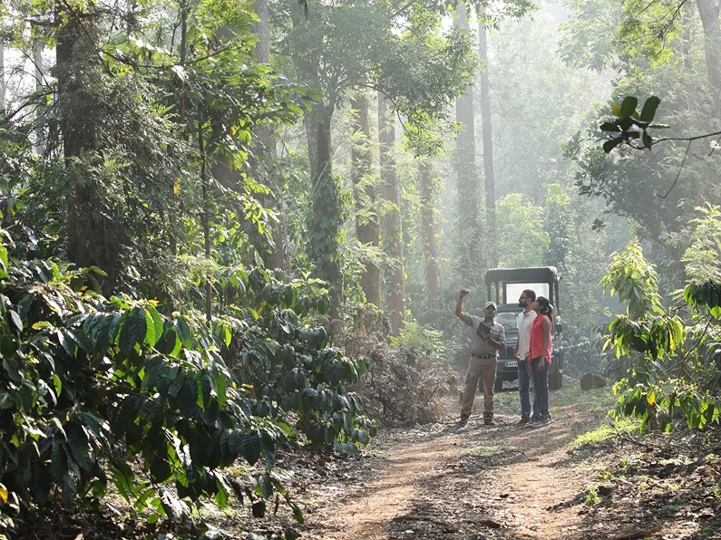 Evolve Back India