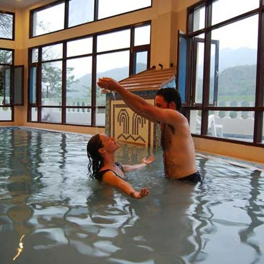 Hot Spring Health Care India
