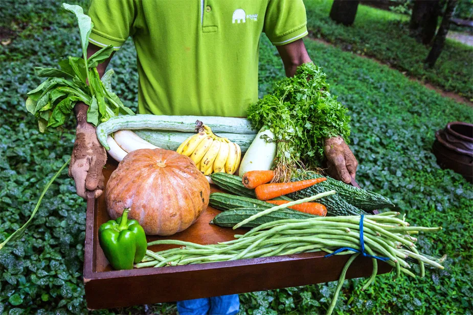 Meriyanda Nature Retreat & Spa India