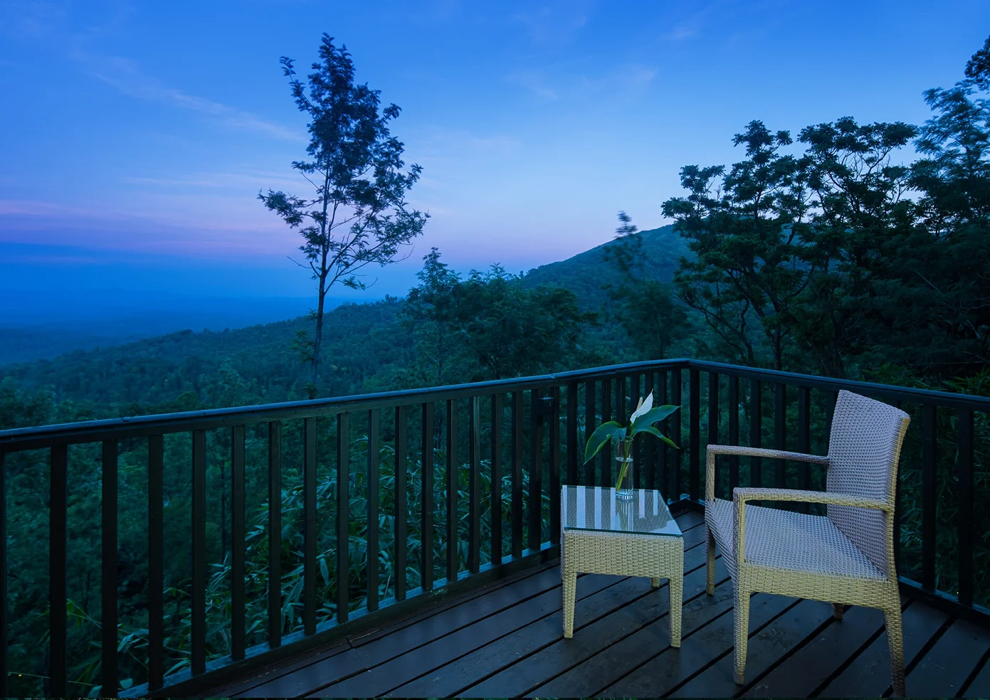 The Tamara Coorg 