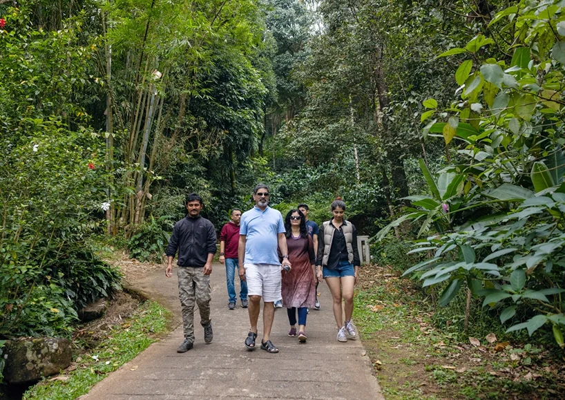 The Tamara Coorg 