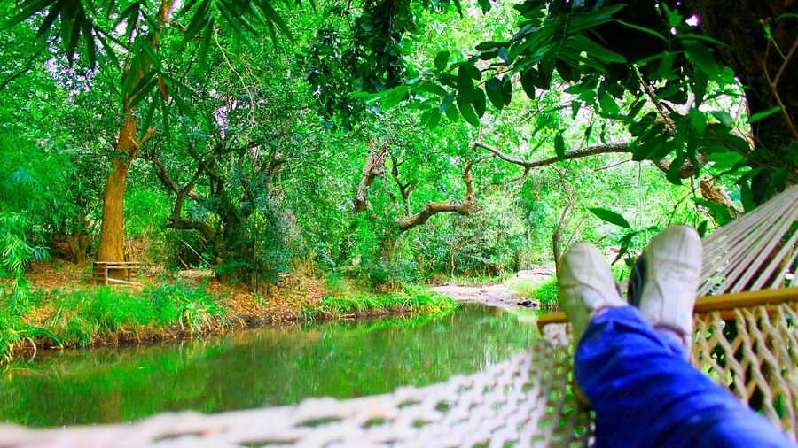 Amanvana Spa Resort