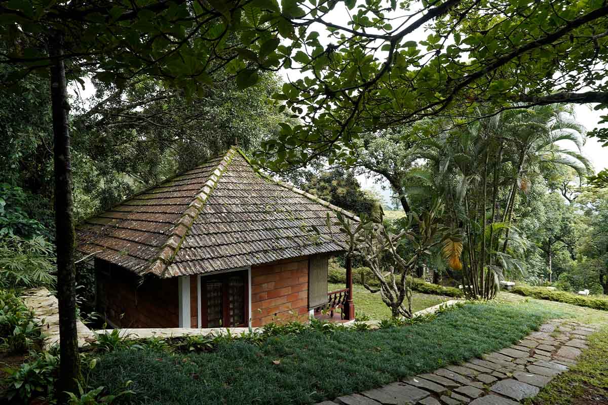 Misty Woods Resort 