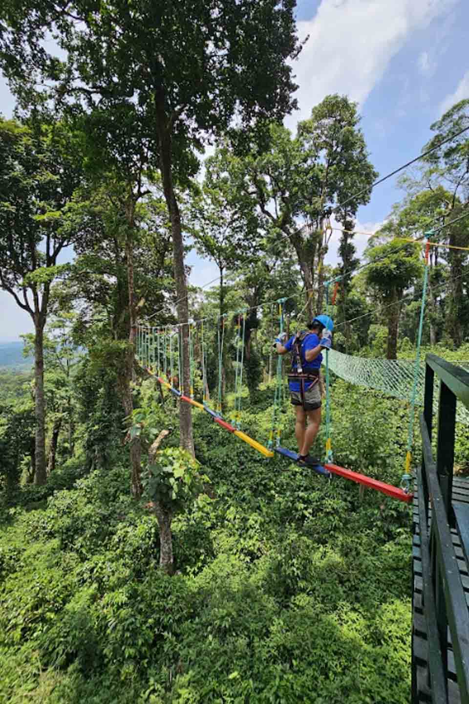 Misty Woods Resort India