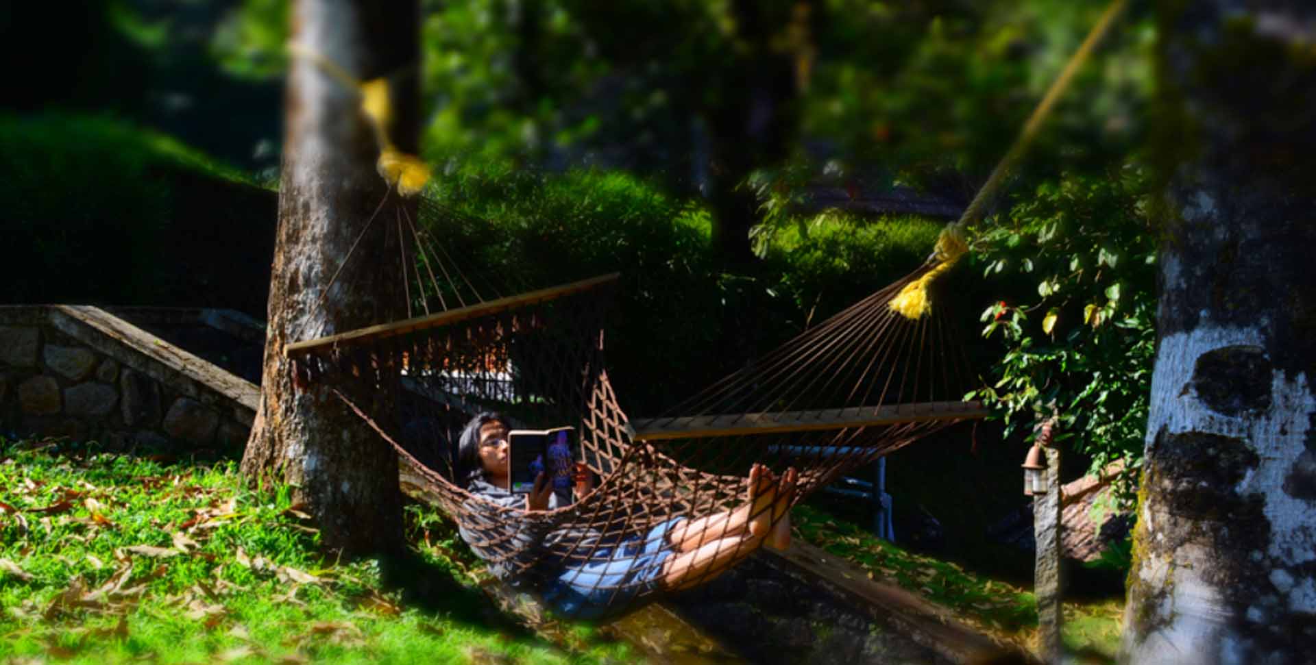 Misty Woods Resort 