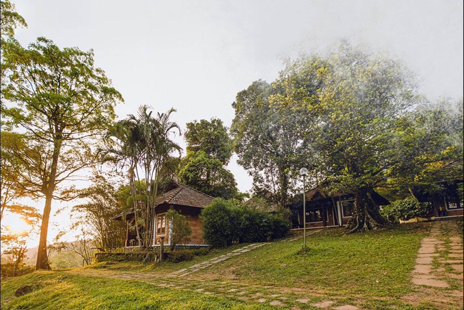 Misty Woods Resort 