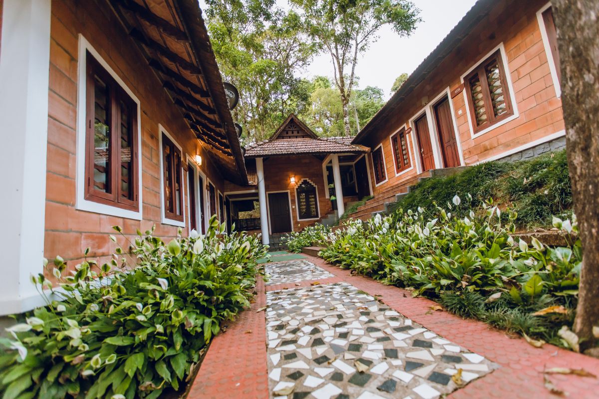Misty Woods Resort 