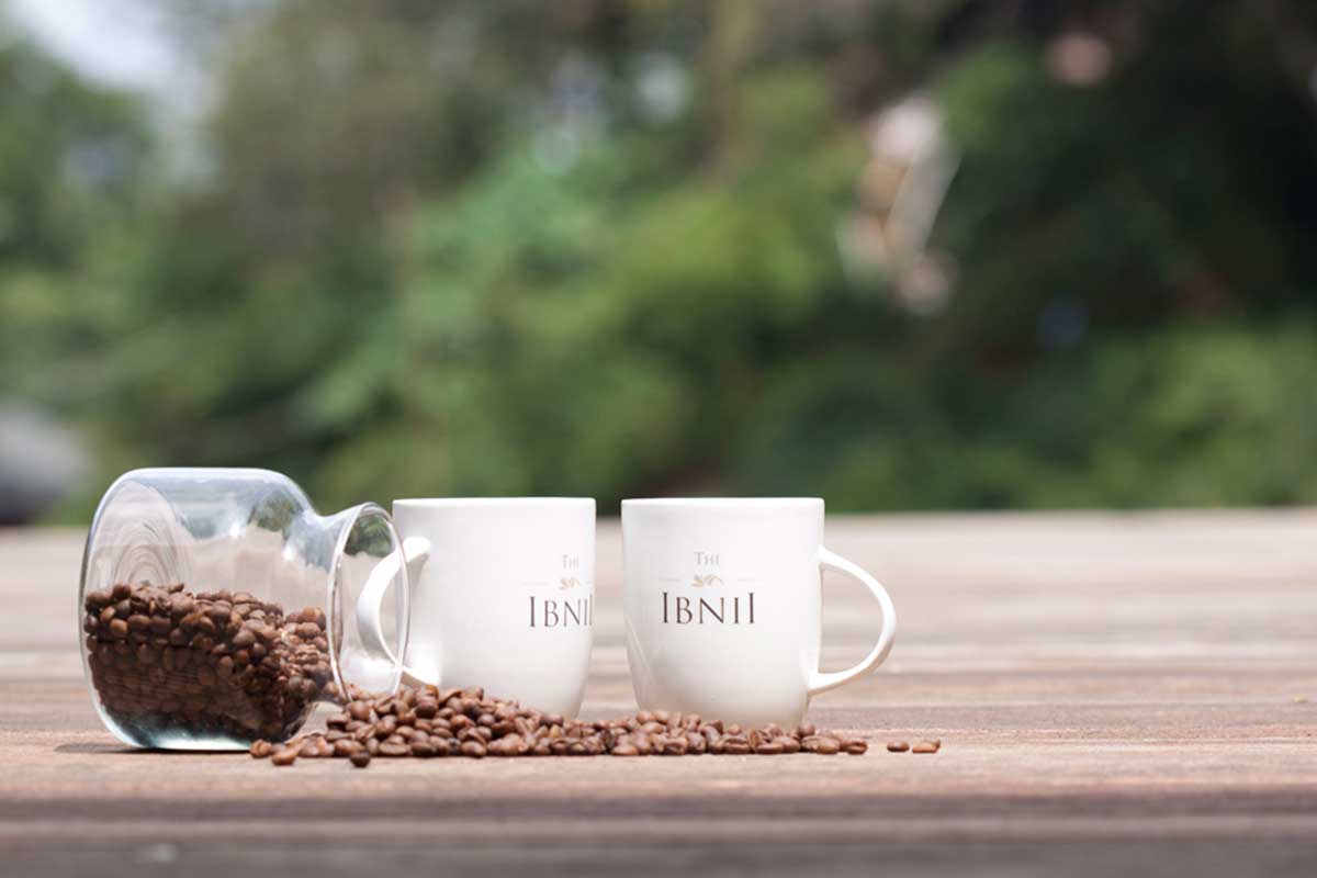The Ibnii Coorg 