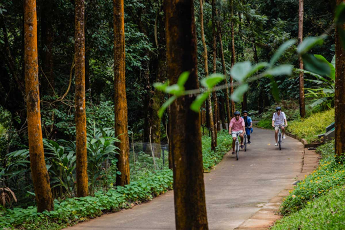 The Ibnii Coorg India