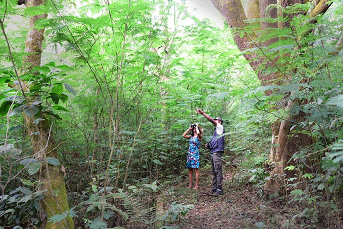 The Ibnii Coorg 