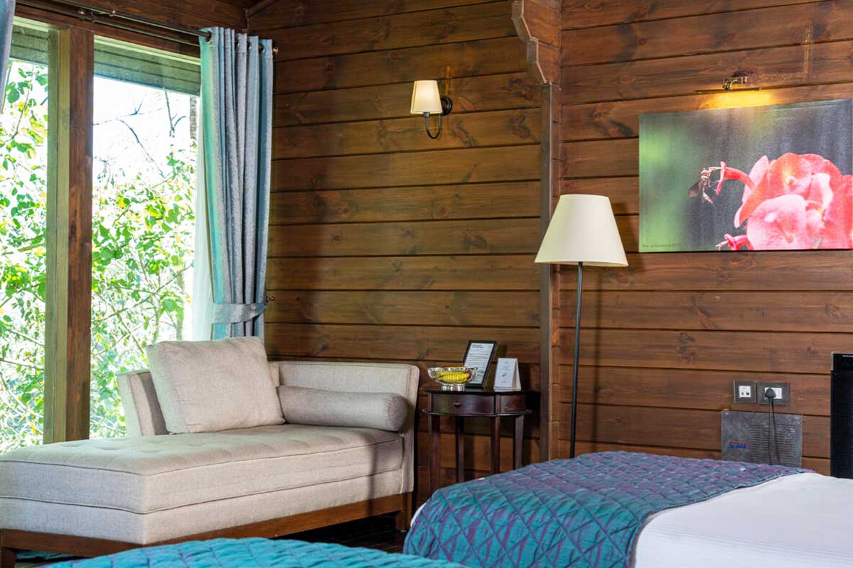 The Ibnii Coorg 