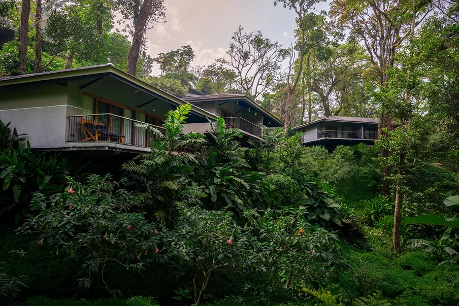 Ayatana Ooty India