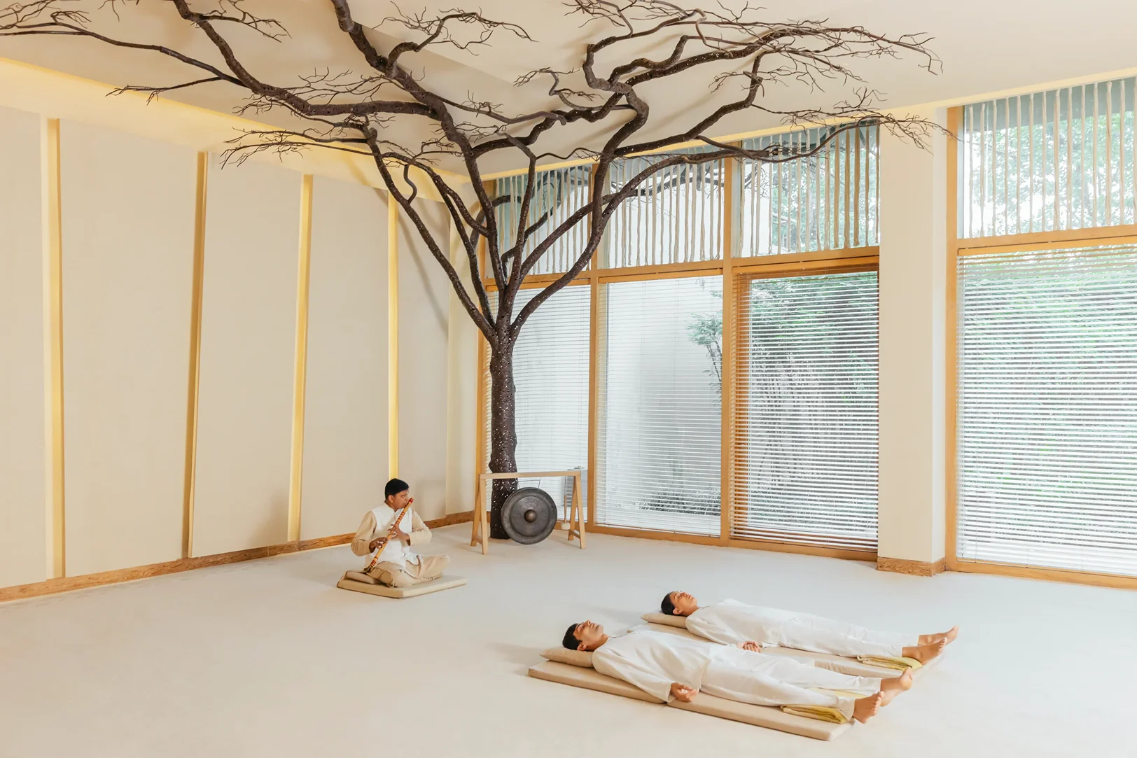 Six Senses Vana Image