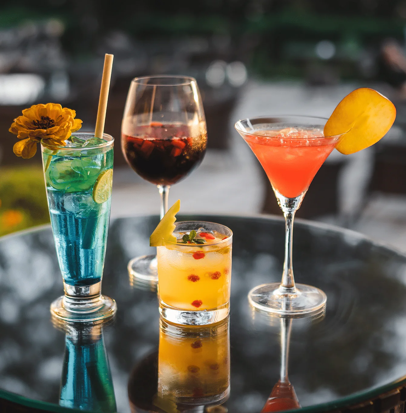 The Claridges Nabha Residence 