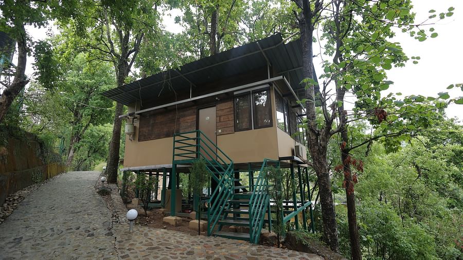 The Sal Wood Forest Retreat & Spa