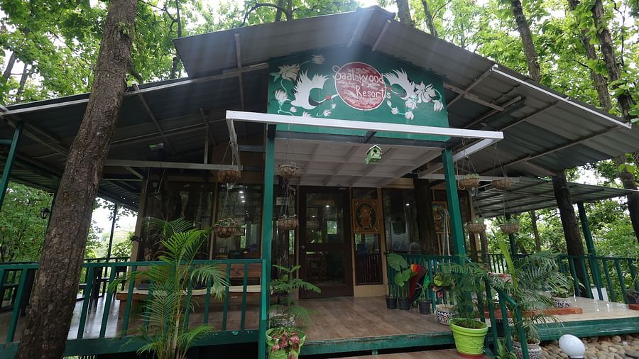 The Sal Wood Forest Retreat & Spa 