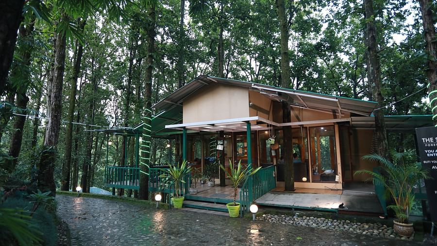 The Sal Wood Forest Retreat & Spa 