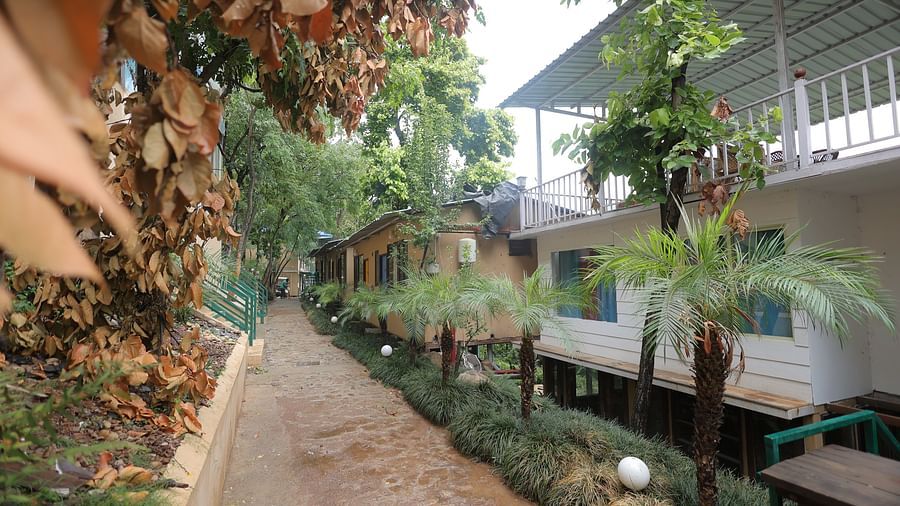 The Sal Wood Forest Retreat & Spa