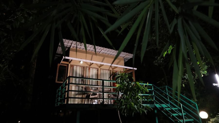The Sal Wood Forest Retreat & Spa 