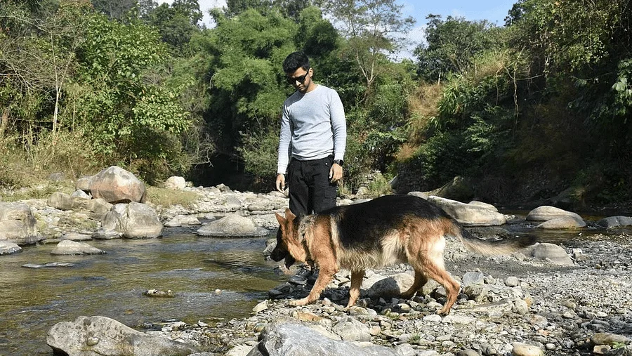 The Sylvan Retreat Dehradun