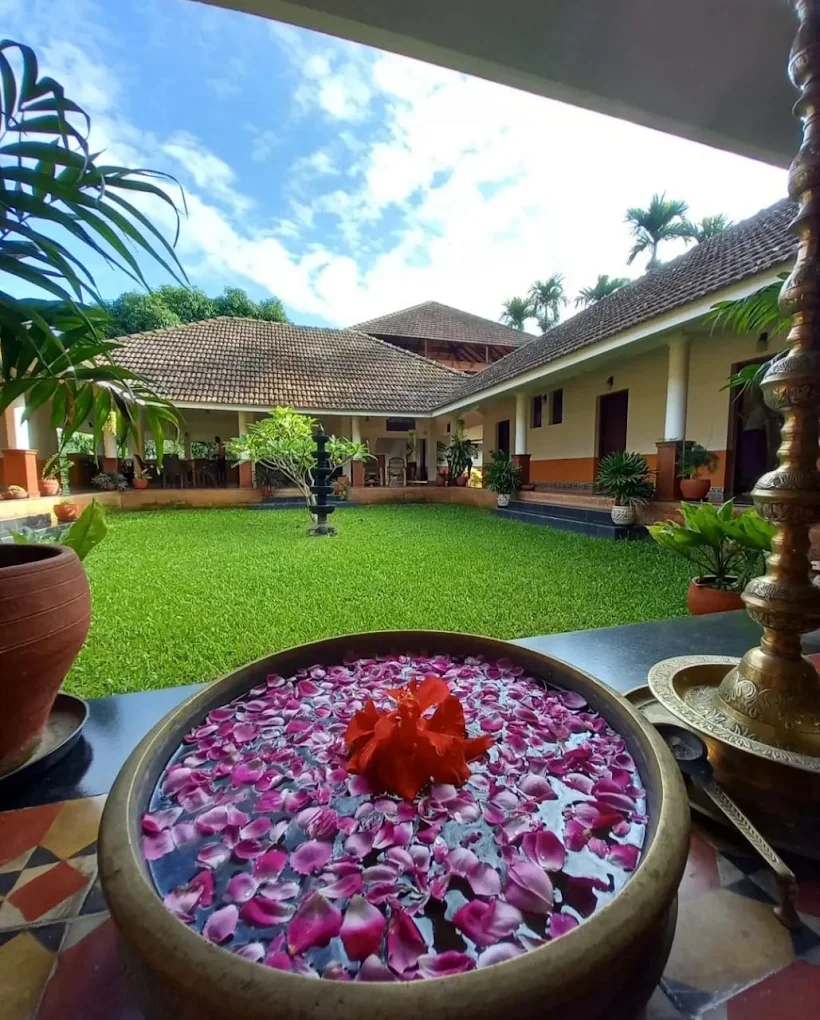 Wayanad Ayurveda 