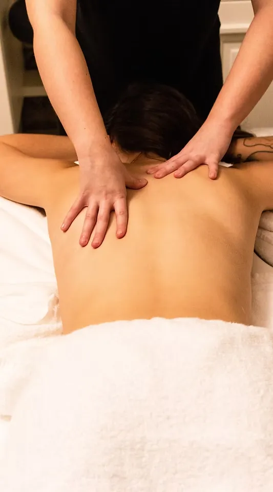 Wayanad Ayurveda 