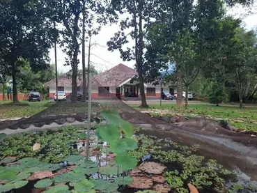 Wayanad Ayurveda 