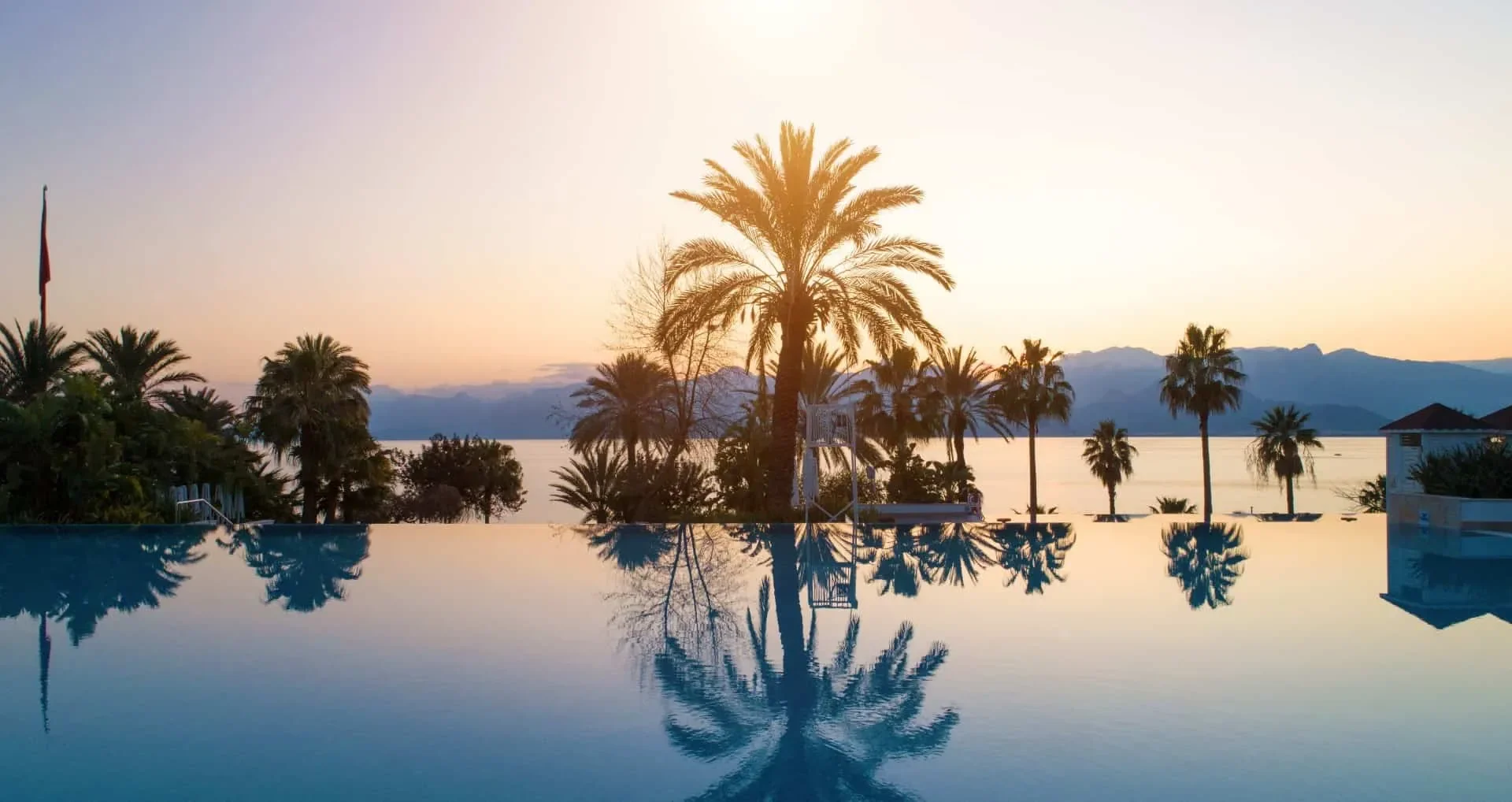 TheLifeCo Holistic Wellbeing Image