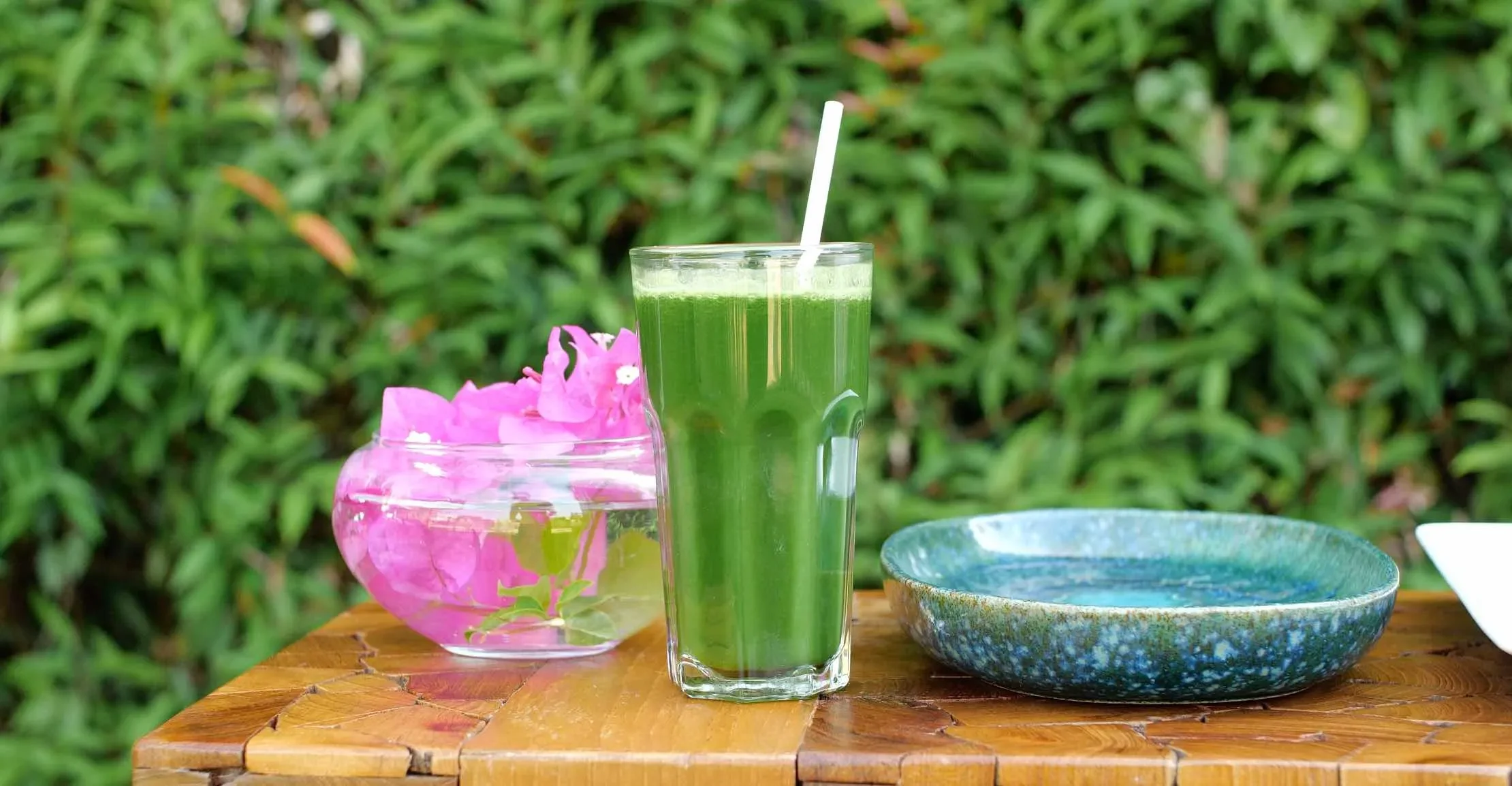TheLifeCo Holistic Wellbeing