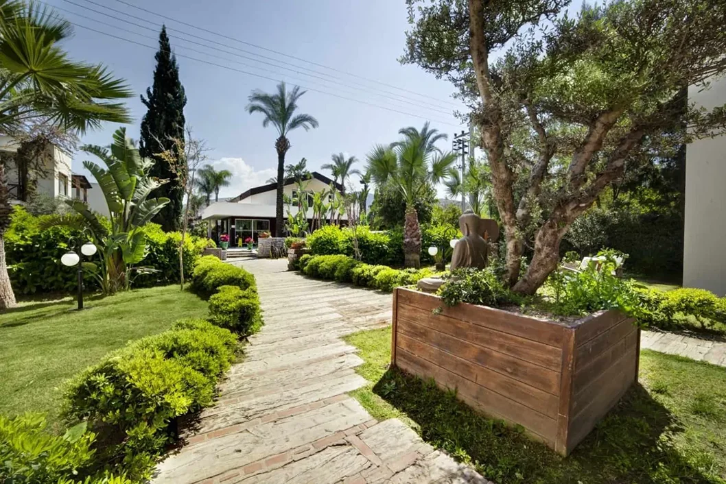 TheLifeCo Holistic Wellbeing 
