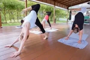 TheLifeCo Holistic Wellbeing 