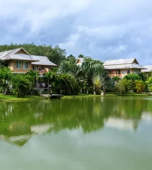 TheLifeCo Holistic Wellbeing