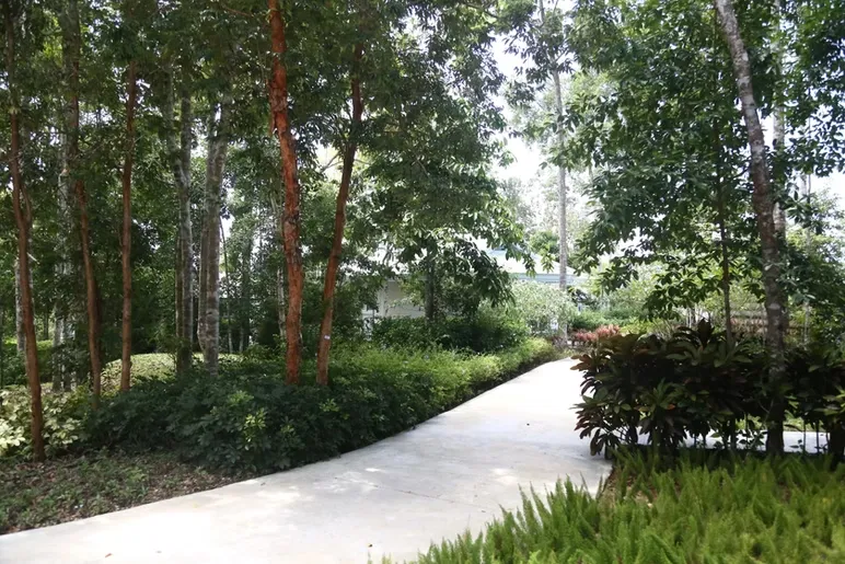 Na Sook Wellness Resort Thailand